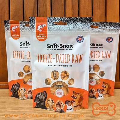 Raw Freeze-Dried Salmon Fillet Dog Treats